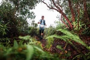 BIB: 
                            <button type="button" onclick="openModal(26209661)" class="btn btn-primary btn-sm float-right btn-popup" data-toggle="modal" data-target=".modal-high-quality">
                        <i class="fas fa-shopping-cart"></i> Add to Cart
                    </button>
                                            <button type="button" onclick="isThisMe(26209661, true)" class="btn btn-success btn-sm float-right btn-popup btn-isme hidden" data-toggle="tooltip" data-placement="bottom" title="นี่คือรูปของคุณใช่ไหม คลิกที่นี่เพื่อเอาเข้าอัลบั้ม">
                        <i class="fas fa-plus"></i> Add to album
                    </button>
                    <button type="button" onclick="isThisMe(26209661, false)" class="btn btn-warning btn-sm float-right btn-popup btn-isnotme hidden">
                        <i class="fas fa-ban"></i> Remove from album
                    </button>